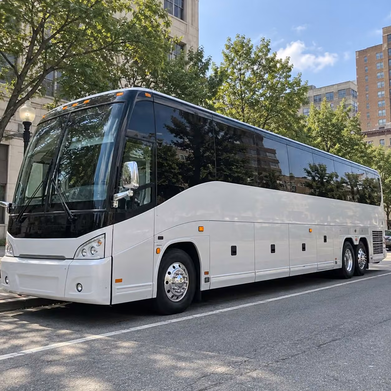 coachbusdaytonabeach com is ready to help you plan daytona beach history field trips