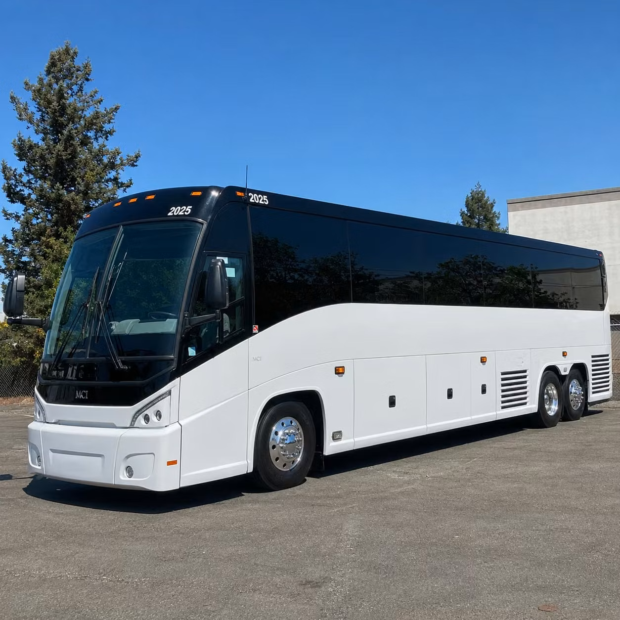 make your daytona beach sports team s away trip one to remember